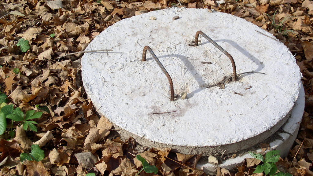 A round concrete manhole cover with two rusty metal handles is surrounded by dry brown leaves and patches of green plants.